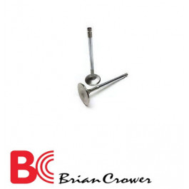 Briancrower - Avgasventiler Rostfritt - 31.15 x 7mm (+1mm) - SR20DET
