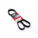 Gates - 6PK1560 - Multirem