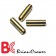 Briancrower - 6mm Insugs Ventilstyrningar - RB26DETT